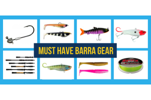 Must Have Barra Gear