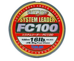 System Leader FC 100 100m