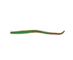 Berkley Gulp 6" Sandworm