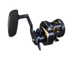 Daiwa Saltiga 300 2025