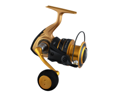 Daiwa Aird SW