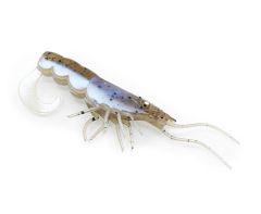 Chasebait Curly Prawn 60mm