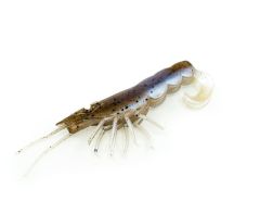 Chasebait Curly Prawn 90mm