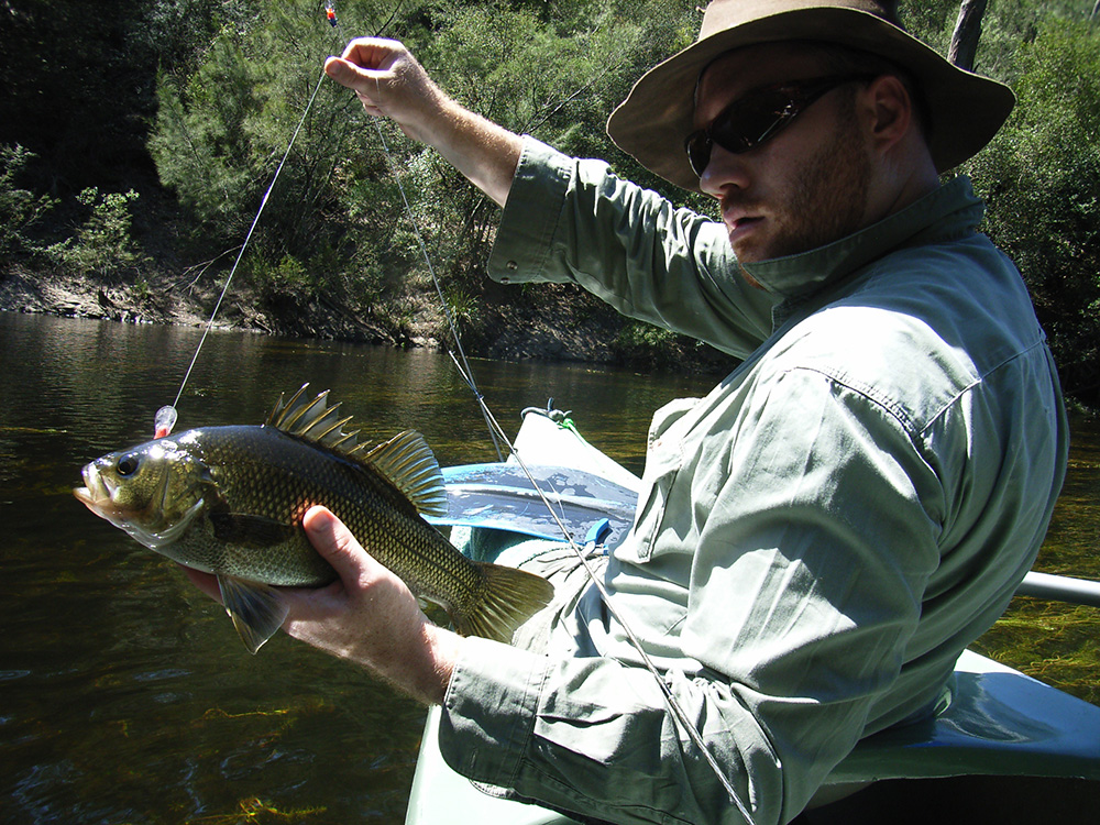 How to Catch Australian Bass